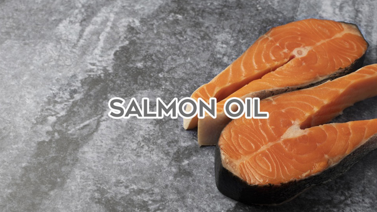 น้ำมันปลาแซลมอน (Salmon Oil)